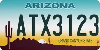 AZ license plate ATX3123