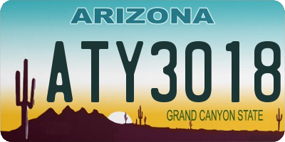 AZ license plate ATY3018
