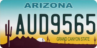 AZ license plate AUD9565