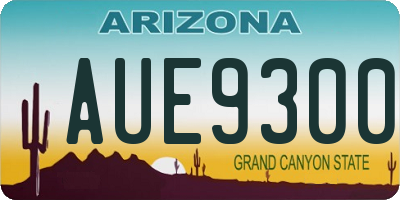 AZ license plate AUE9300