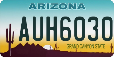 AZ license plate AUH6030