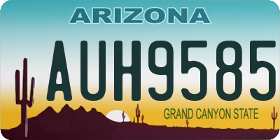 AZ license plate AUH9585