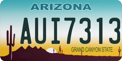 AZ license plate AUI7313