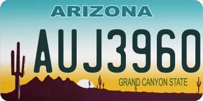 AZ license plate AUJ3960