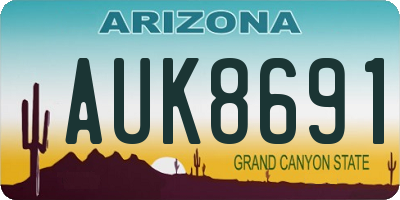 AZ license plate AUK8691