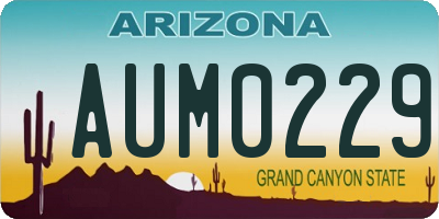 AZ license plate AUM0229