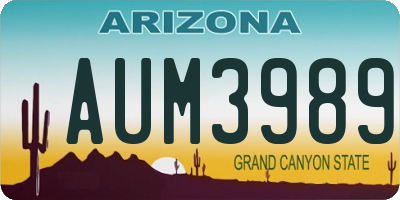 AZ license plate AUM3989