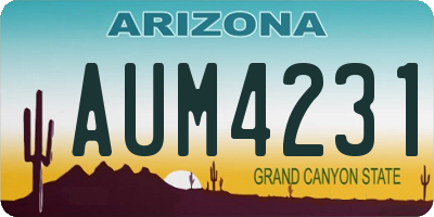 AZ license plate AUM4231