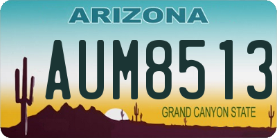 AZ license plate AUM8513