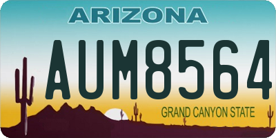 AZ license plate AUM8564