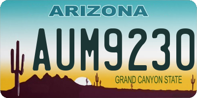 AZ license plate AUM9230