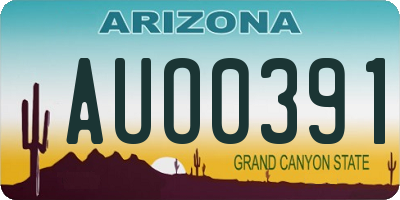 AZ license plate AUO0391