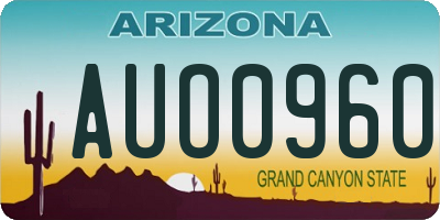 AZ license plate AUO0960