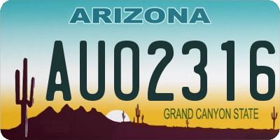 AZ license plate AUO2316