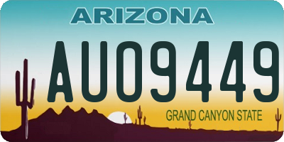 AZ license plate AUO9449