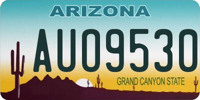 AZ license plate AUO9530