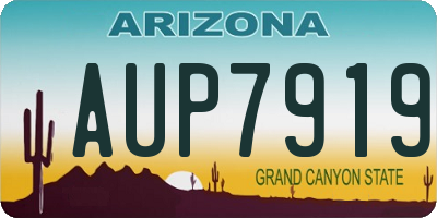 AZ license plate AUP7919