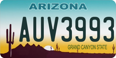 AZ license plate AUV3993