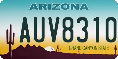 AZ license plate AUV8310