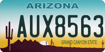 AZ license plate AUX8563