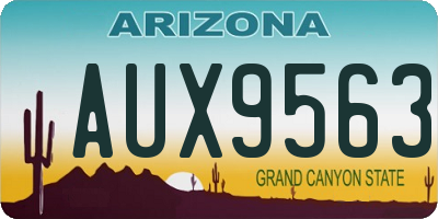 AZ license plate AUX9563