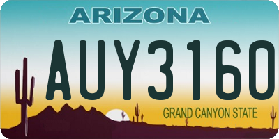AZ license plate AUY3160