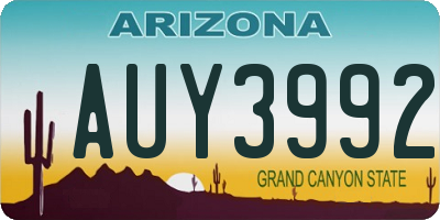 AZ license plate AUY3992