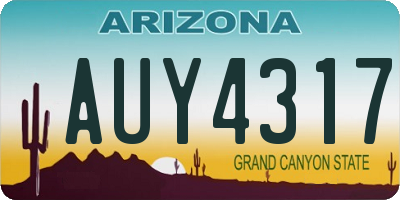 AZ license plate AUY4317
