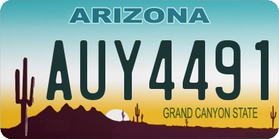 AZ license plate AUY4491