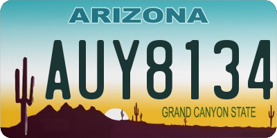 AZ license plate AUY8134