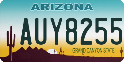 AZ license plate AUY8255