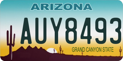 AZ license plate AUY8493