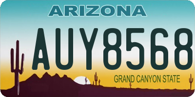 AZ license plate AUY8568