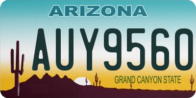 AZ license plate AUY9560