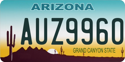 AZ license plate AUZ9960