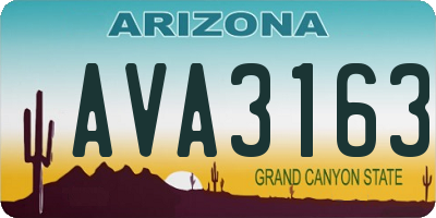 AZ license plate AVA3163
