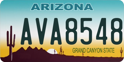 AZ license plate AVA8548