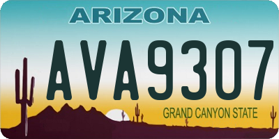AZ license plate AVA9307