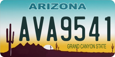 AZ license plate AVA9541