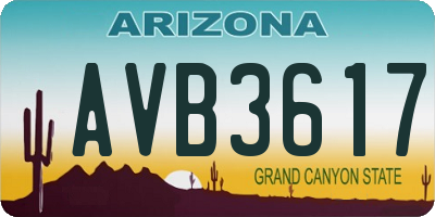 AZ license plate AVB3617