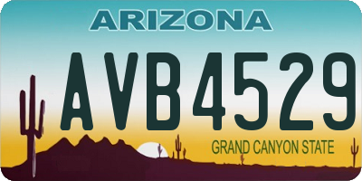 AZ license plate AVB4529