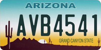 AZ license plate AVB4541