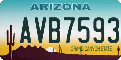 AZ license plate AVB7593