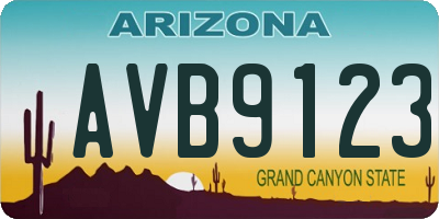 AZ license plate AVB9123