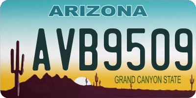 AZ license plate AVB9509