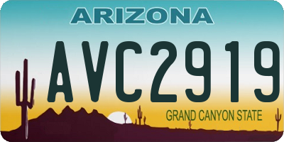 AZ license plate AVC2919
