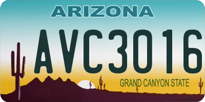 AZ license plate AVC3016
