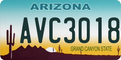 AZ license plate AVC3018