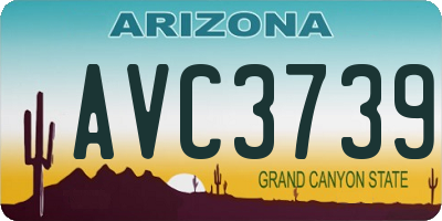 AZ license plate AVC3739