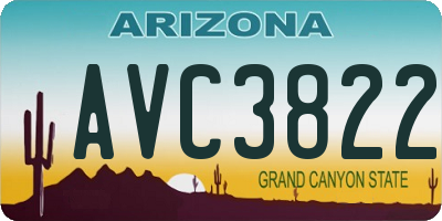 AZ license plate AVC3822